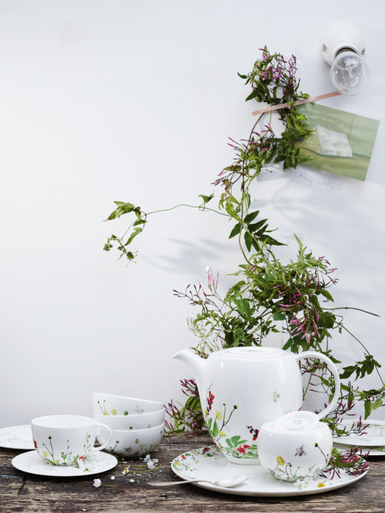 Porcelanowy zestaw kombi Tajemniczy Ogród Rosenthal