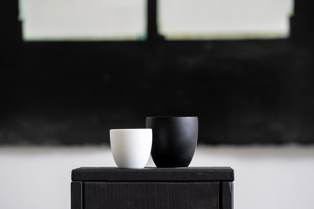 Porcelanowa filiżanka do espresso z podwójną ścianką Delicate Black Rosenthal