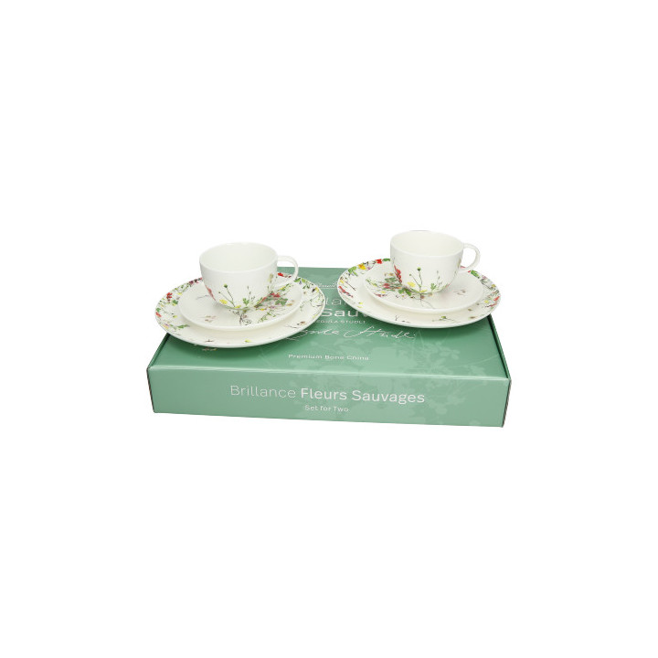 Porcelanowy zestaw 6 częściowy Tajemniczy Ogród Rosenthal