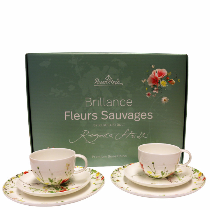 Porcelanowy zestaw 6 częściowy Tajemniczy Ogród Rosenthal