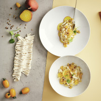 Porcelanowe Talerze Obiadowe - Atrakcyjna Cena - Sklep Rosenthal